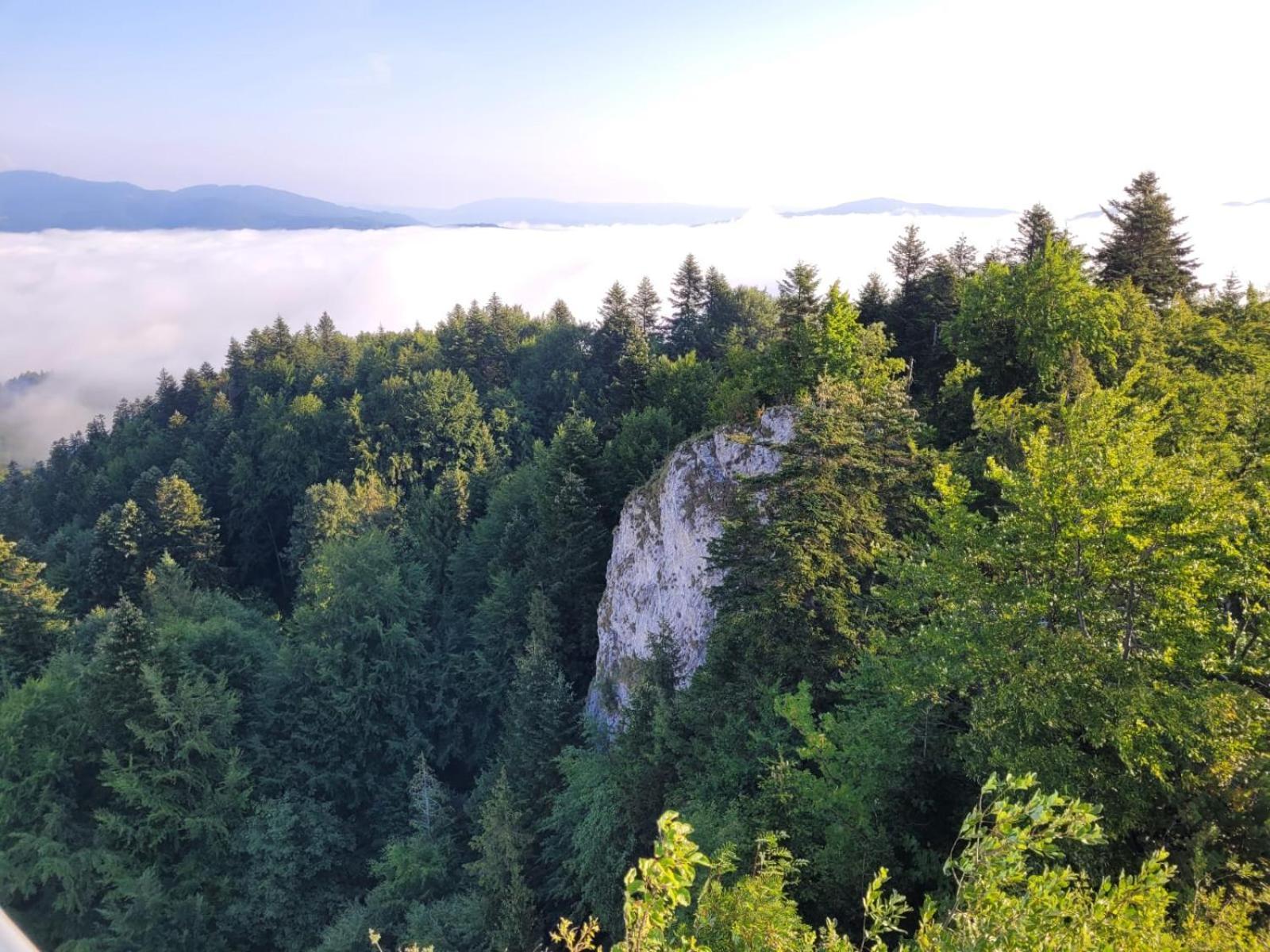 Vila Szczytowisko Grywald Exteriér fotografie